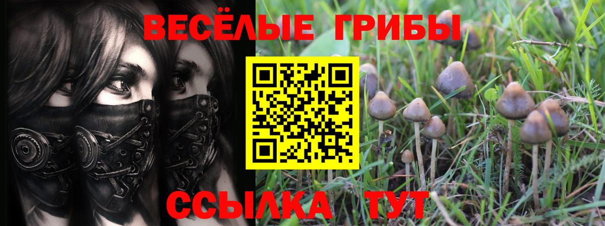 Галлюциногенные грибы прущие грибы Гусев