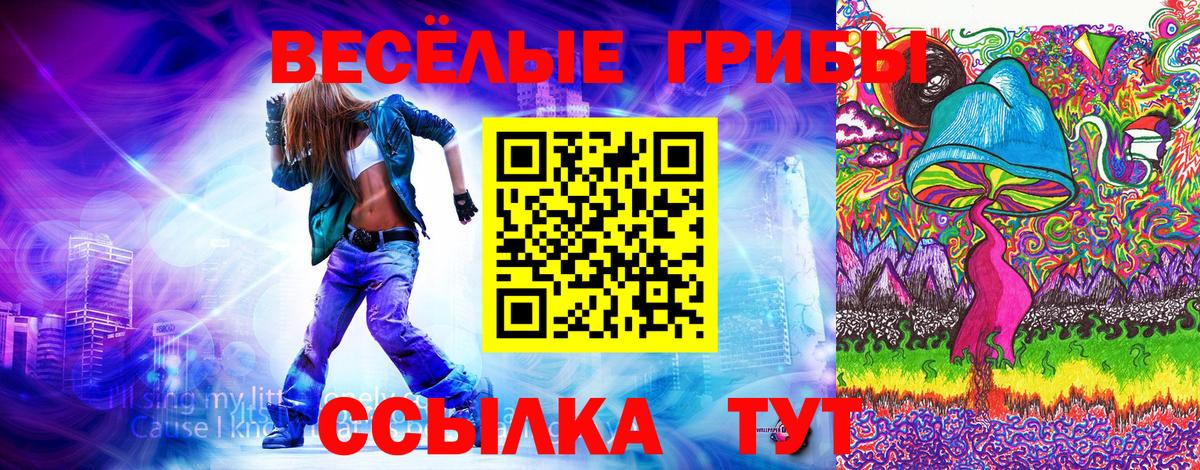 Гусев  Галлюциногенные грибы мухоморы  Галлюциногенные грибы мухоморы  Вход с VPN 