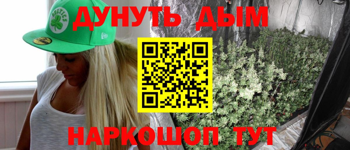 Гусев  Бошки марихуана сатива  Шишки марихуана Amnesia  Вход с VPN 